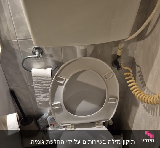 אסלה עם ניאגרה, נייר טואלט וצינור מים